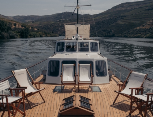 Pipadouro Introduces New Program ‘How Vintage Can You Go?’