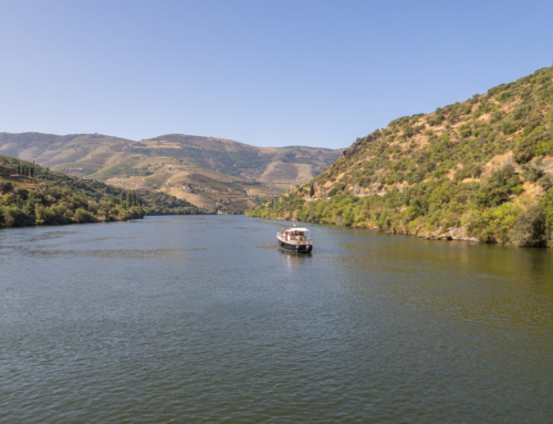 Sustainability in the Douro: Preserving What Inspires Us